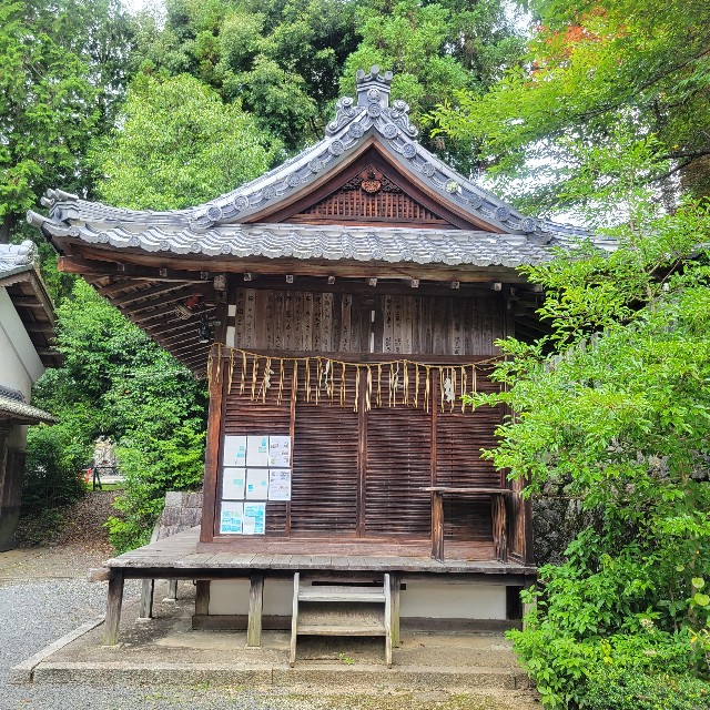 f:id:atoriatoriatori:20230630095726j:image