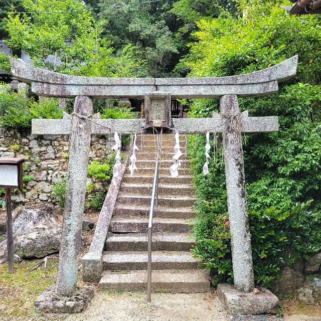 f:id:atoriatoriatori:20230630100607j:image