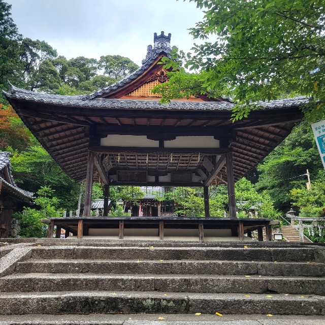 f:id:atoriatoriatori:20230630101524j:image