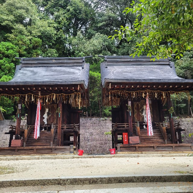 f:id:atoriatoriatori:20230630101543j:image