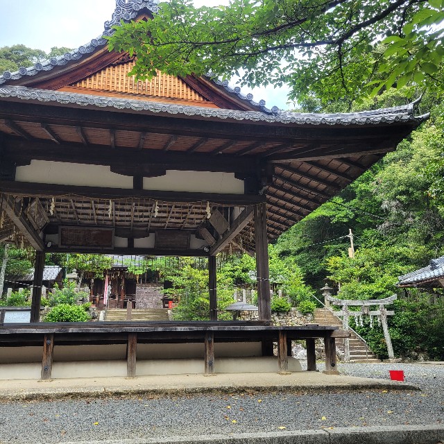 f:id:atoriatoriatori:20230630103020j:image