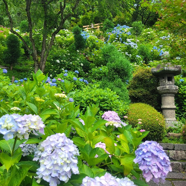 f:id:atoriatoriatori:20230702135608j:image