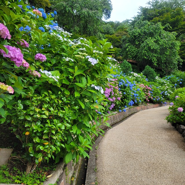 f:id:atoriatoriatori:20230702164004j:image