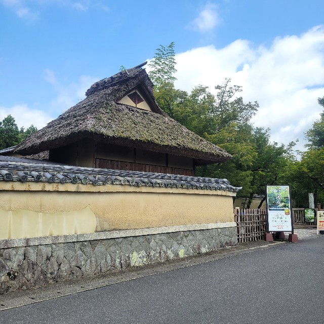 f:id:atoriatoriatori:20230705083555j:image