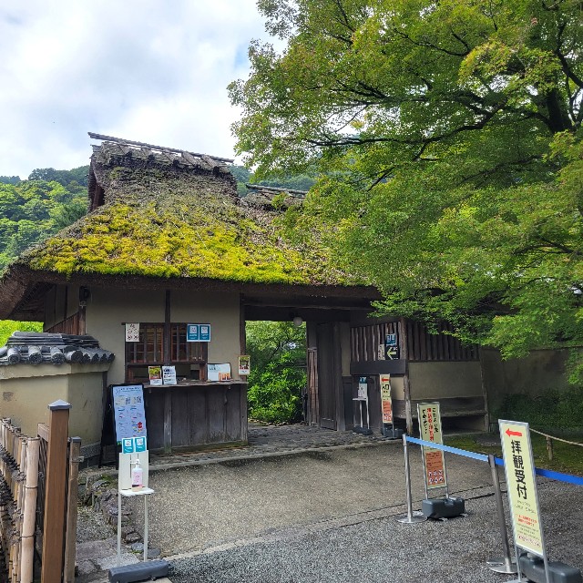 f:id:atoriatoriatori:20230705084807j:image