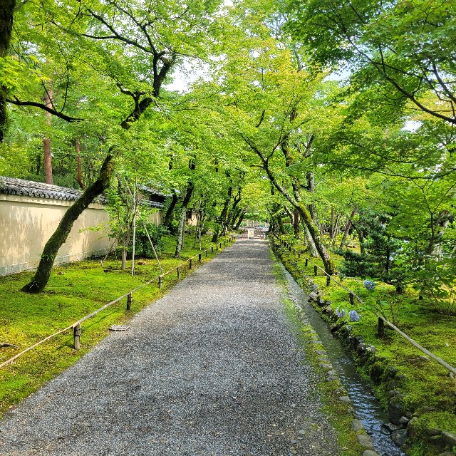 f:id:atoriatoriatori:20230705084830j:image