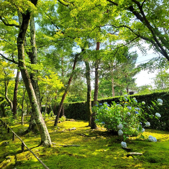 f:id:atoriatoriatori:20230705092123j:image