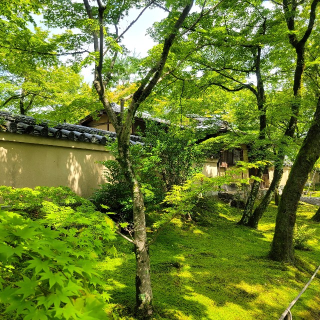 f:id:atoriatoriatori:20230705092132j:image