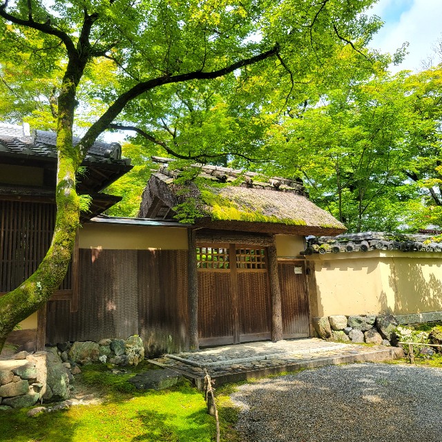 f:id:atoriatoriatori:20230705092139j:image