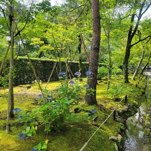 f:id:atoriatoriatori:20230705092145j:image