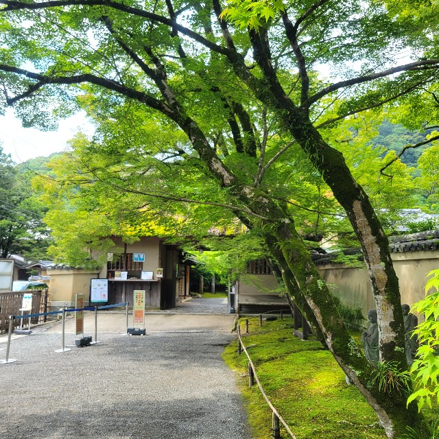 f:id:atoriatoriatori:20230705092339j:image