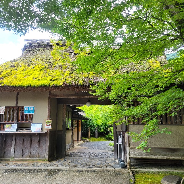 f:id:atoriatoriatori:20230705092658j:image