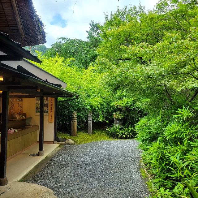 f:id:atoriatoriatori:20230705093013j:image