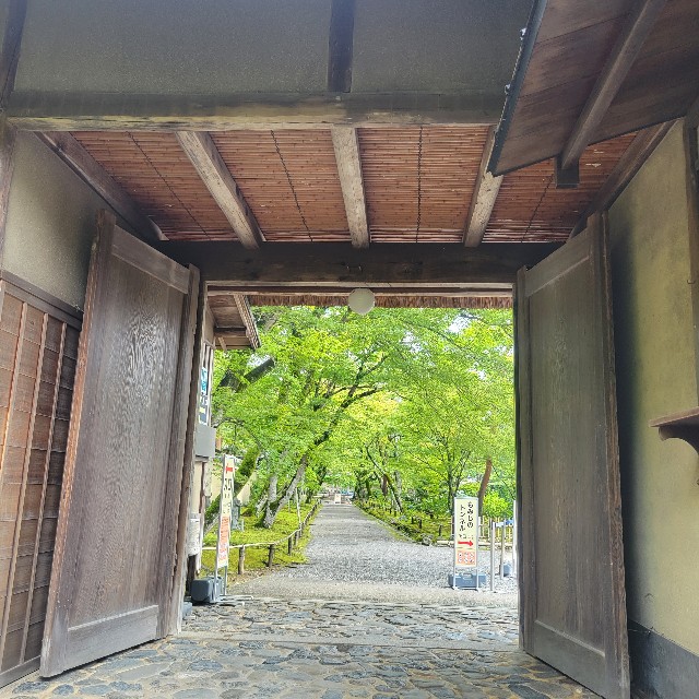 f:id:atoriatoriatori:20230705093326j:image
