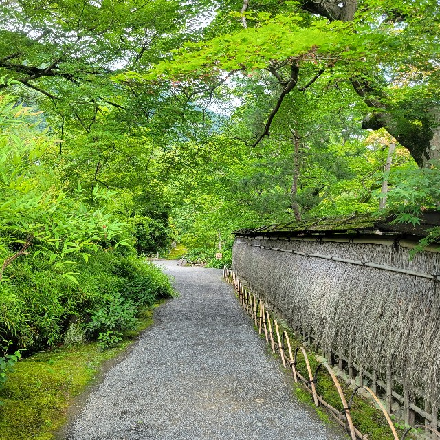 f:id:atoriatoriatori:20230705093354j:image