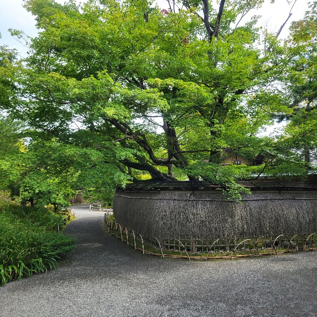 f:id:atoriatoriatori:20230705093802j:image
