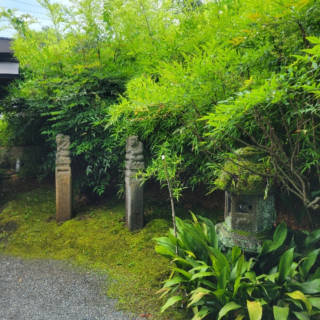 f:id:atoriatoriatori:20230705093823j:image
