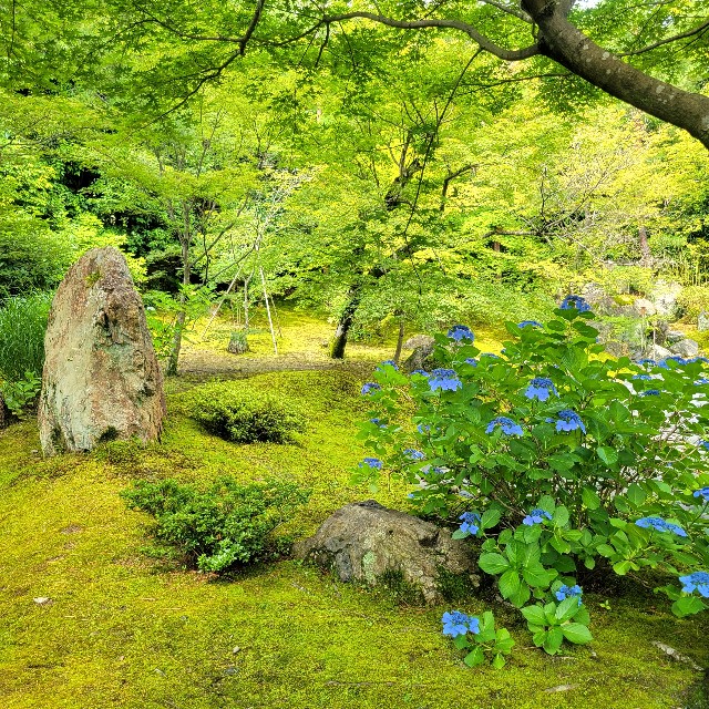f:id:atoriatoriatori:20230705094049j:image