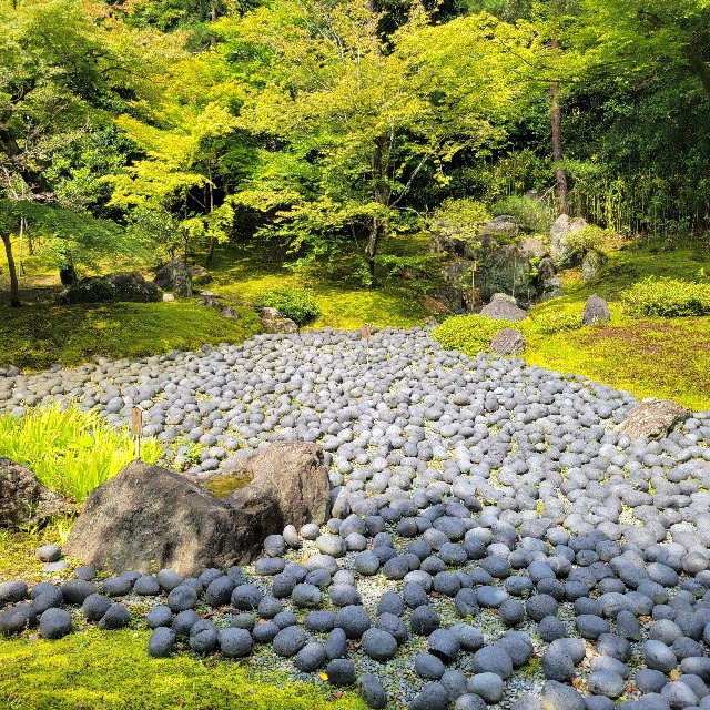 f:id:atoriatoriatori:20230705102219j:image