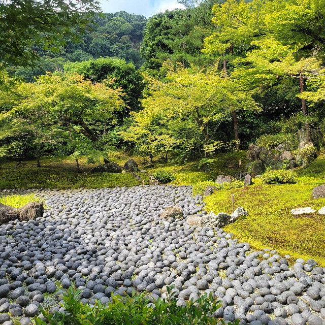 f:id:atoriatoriatori:20230705102226j:image