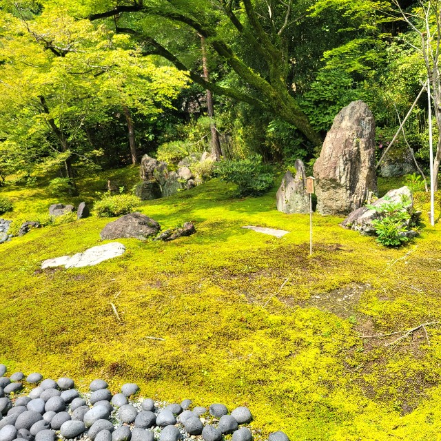 f:id:atoriatoriatori:20230705102244j:image