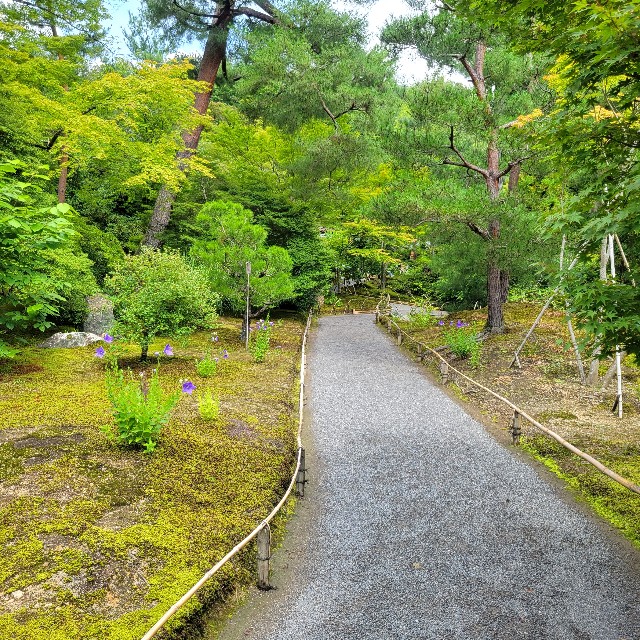 f:id:atoriatoriatori:20230705104629j:image