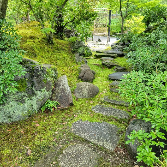 f:id:atoriatoriatori:20230705104644j:image