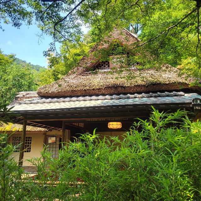 f:id:atoriatoriatori:20230705104654j:image