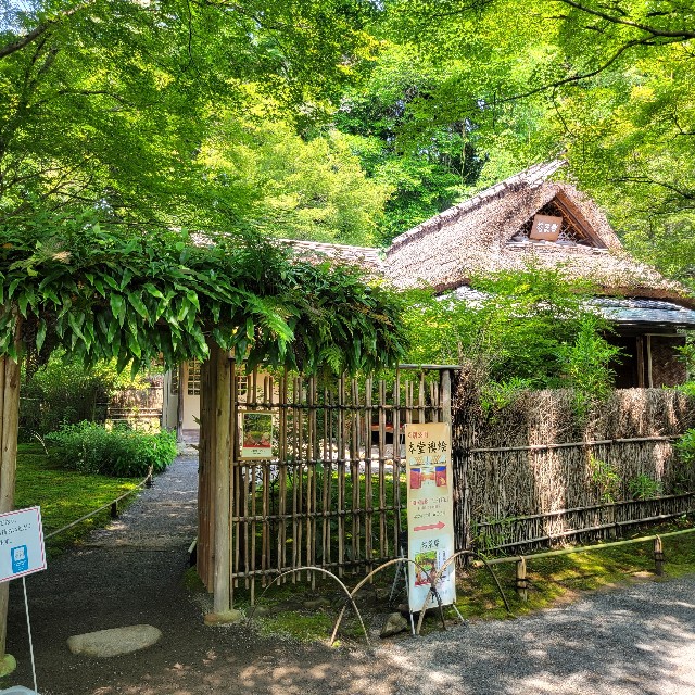 f:id:atoriatoriatori:20230705104714j:image