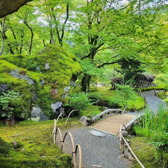 f:id:atoriatoriatori:20230707121902j:image