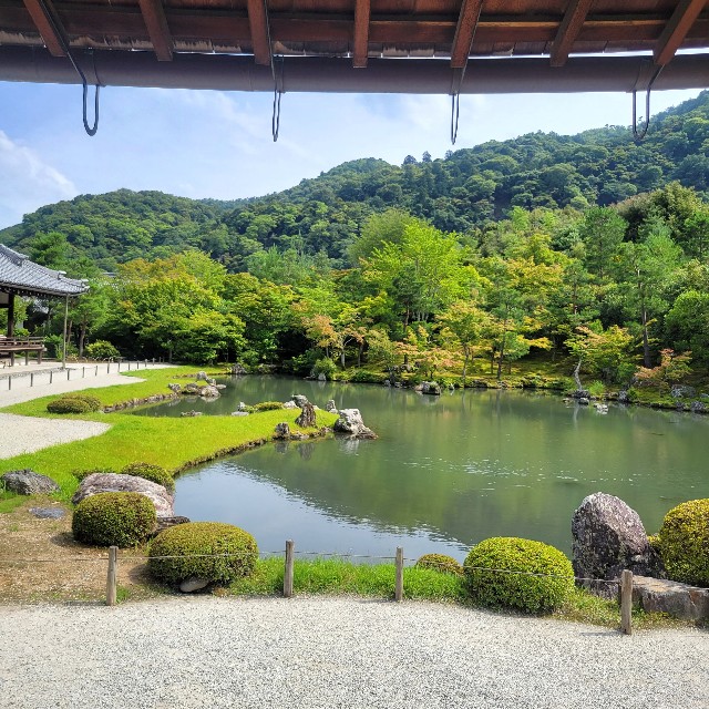 f:id:atoriatoriatori:20230712203311j:image f:id:atoriatoriatori:20230712203311j:image