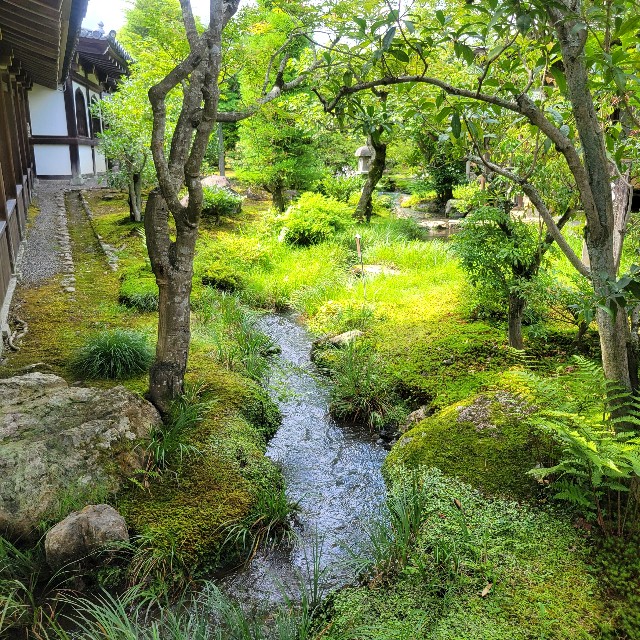 f:id:atoriatoriatori:20230712204158j:image f:id:atoriatoriatori:20230712204158j:image