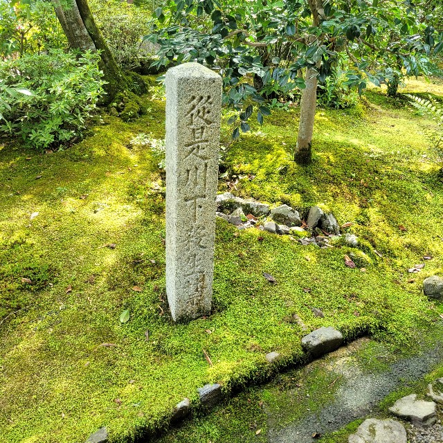 f:id:atoriatoriatori:20230712213816j:image f:id:atoriatoriatori:20230712213816j:image