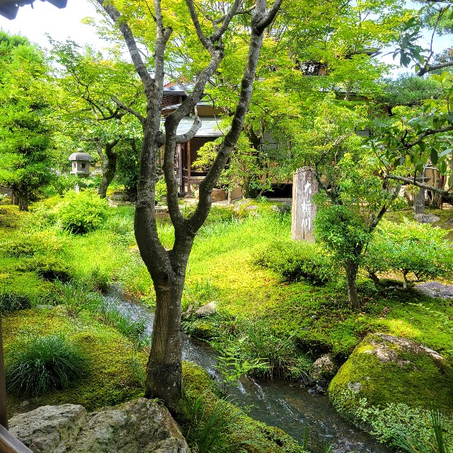 f:id:atoriatoriatori:20230713093228j:image f:id:atoriatoriatori:20230713093228j:image