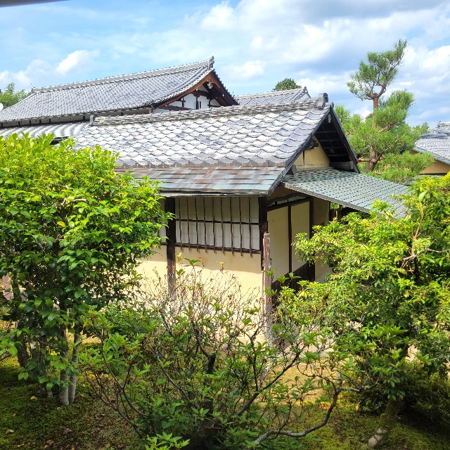 f:id:atoriatoriatori:20230713093304j:image f:id:atoriatoriatori:20230713093304j:image