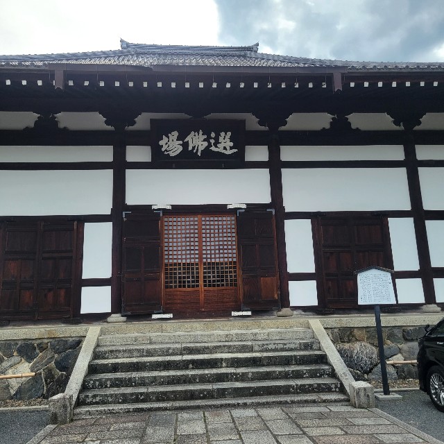 f:id:atoriatoriatori:20230713100359j:image f:id:atoriatoriatori:20230713100359j:image