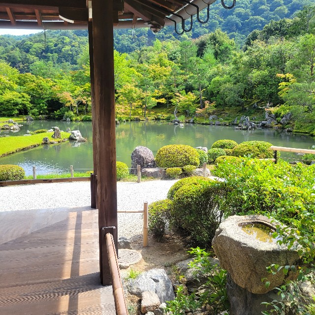 f:id:atoriatoriatori:20230713103747j:image f:id:atoriatoriatori:20230713103747j:image