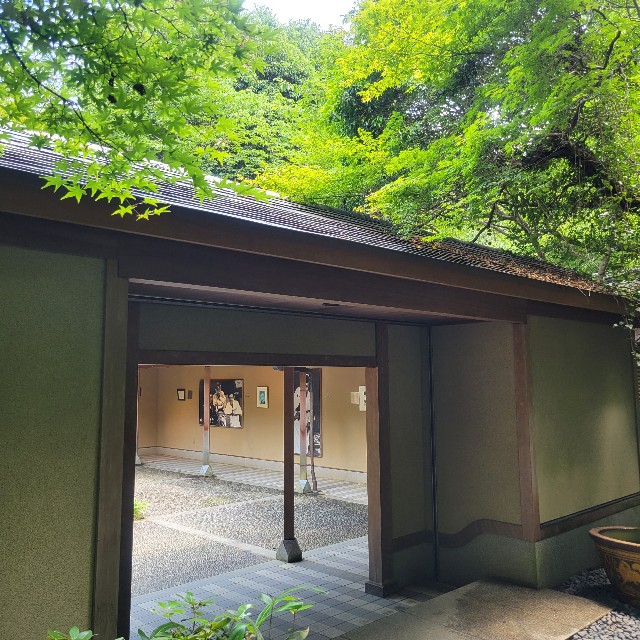 f:id:atoriatoriatori:20230803133057j:image