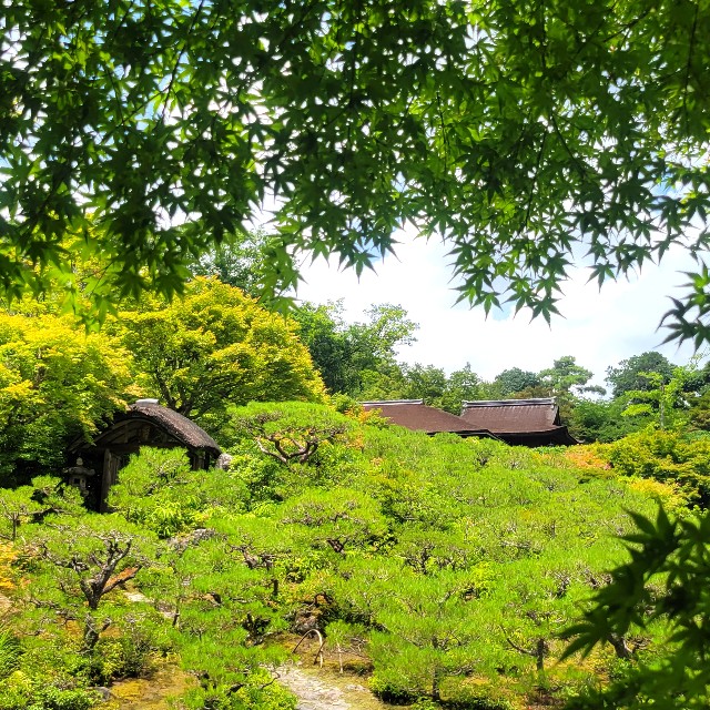 f:id:atoriatoriatori:20230803140328j:image