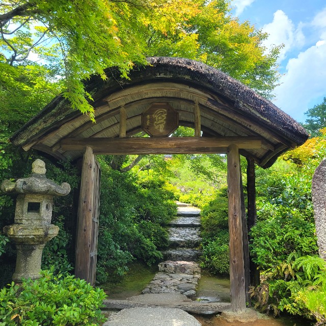 f:id:atoriatoriatori:20230803153846j:image