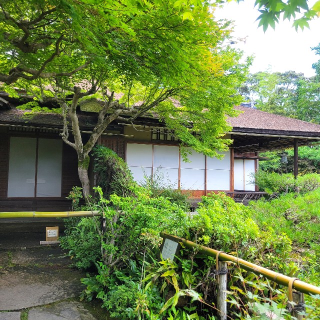 f:id:atoriatoriatori:20230803161845j:image