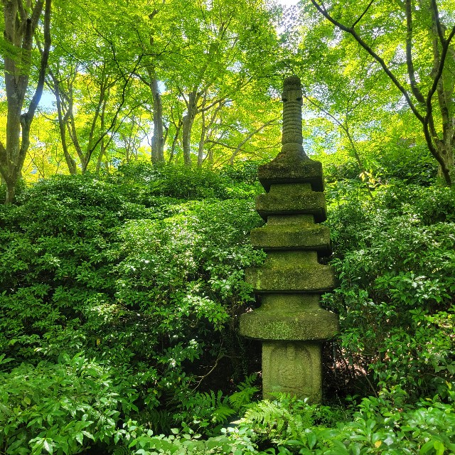 f:id:atoriatoriatori:20230803172339j:image