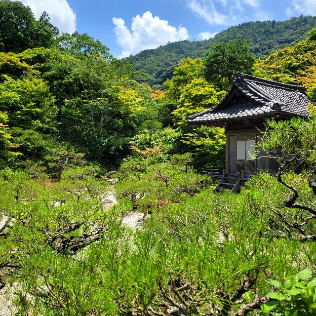 f:id:atoriatoriatori:20230803172345j:image