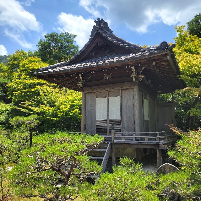 f:id:atoriatoriatori:20230803172351j:image