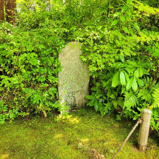 f:id:atoriatoriatori:20230803172419j:image