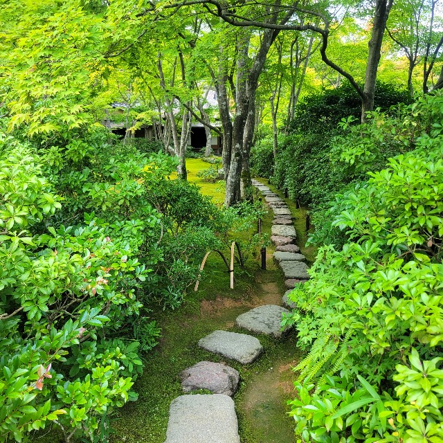f:id:atoriatoriatori:20230804082314j:image