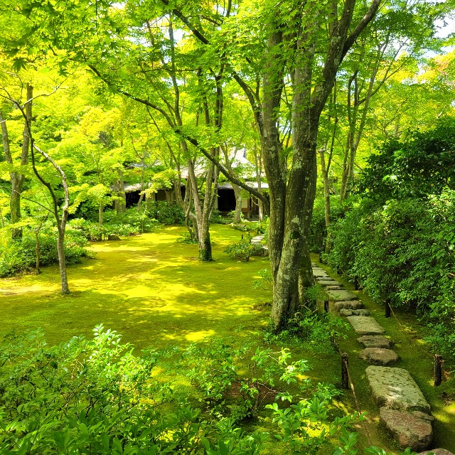f:id:atoriatoriatori:20230804082334j:image