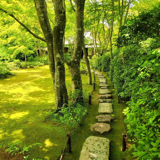 f:id:atoriatoriatori:20230804082341j:image