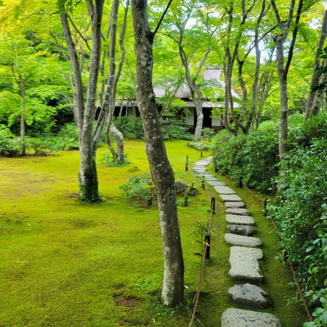 f:id:atoriatoriatori:20230804083626j:image
