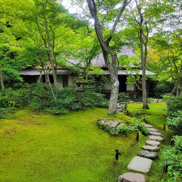f:id:atoriatoriatori:20230804083633j:image